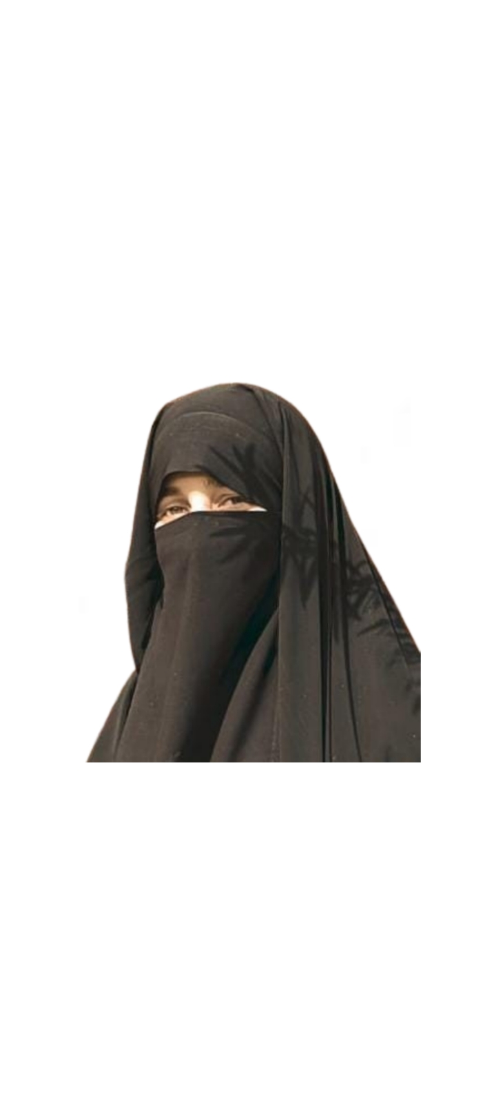 Aisha Aziz Malik 